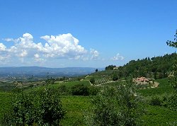 tuscany_sm.jpg