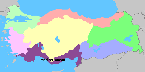 Mediterranean