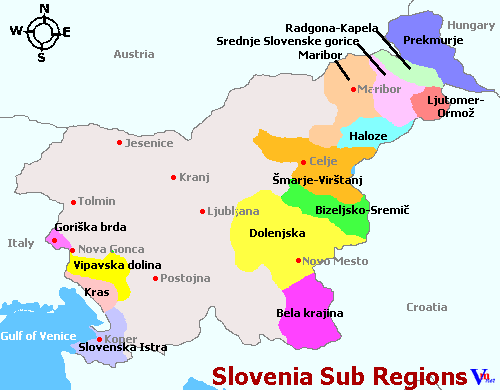 Slovenia Sub Regions Map